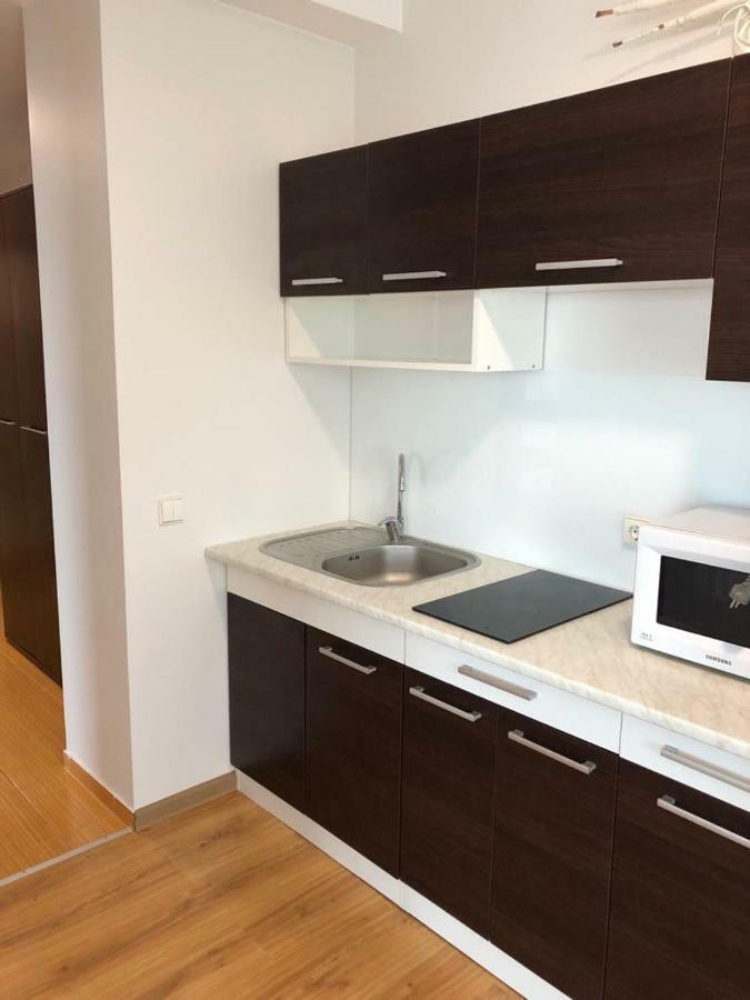 Palanga Apartment Daukanto 17 Extérieur photo